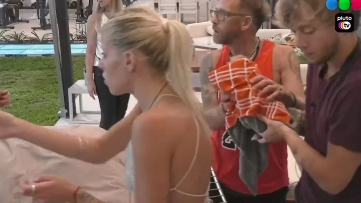 Tensión en Gran Hermano: uno de los perritos cayó a la pileta y cortaron la transmisión