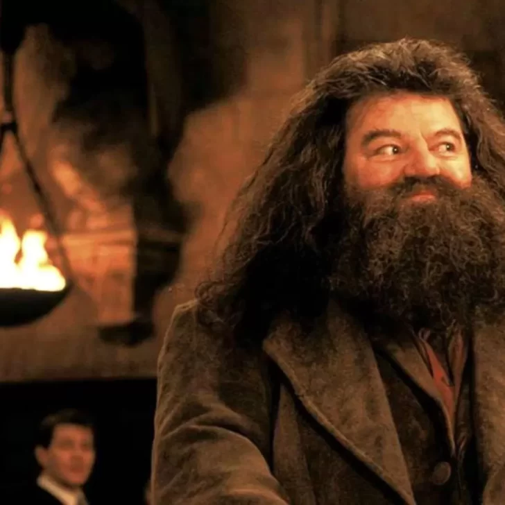 Murió el actor Robbie Coltrane, quien dio vida a Hagrid en Harry Potter Murió el actor Robbie Coltrane, quien dio vida a Hagrid en Harry Potter