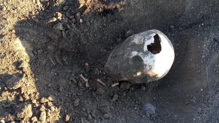 Encontraron un cráneo humano en una playa de Santa Cruz