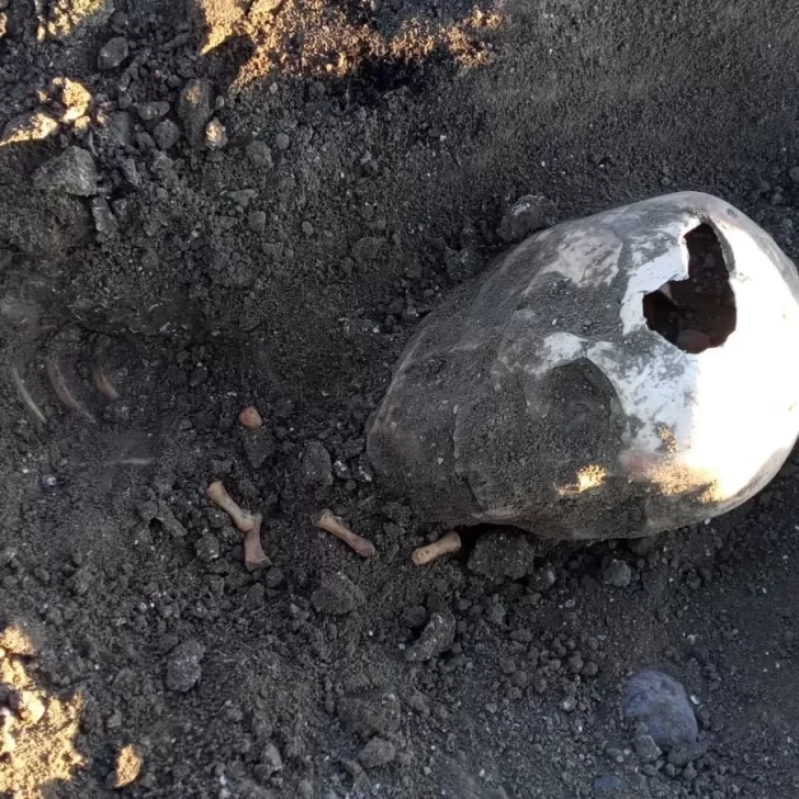 Encontraron un cráneo humano en una playa de Santa Cruz