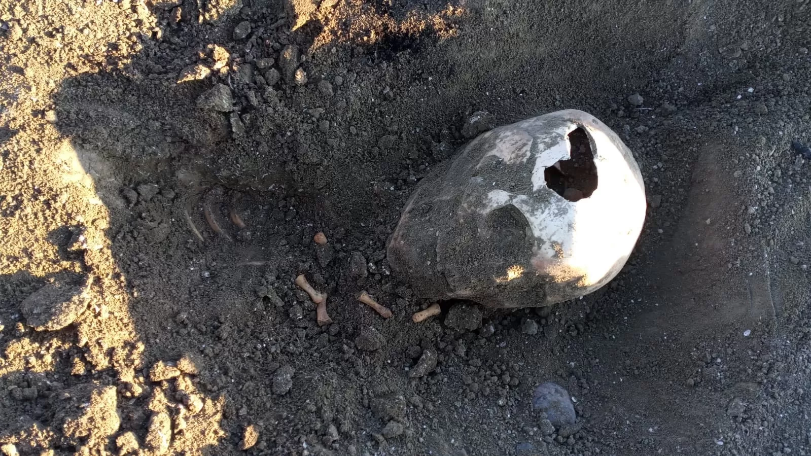 Encontraron un cr neo humano en una playa de Santa Cruz La