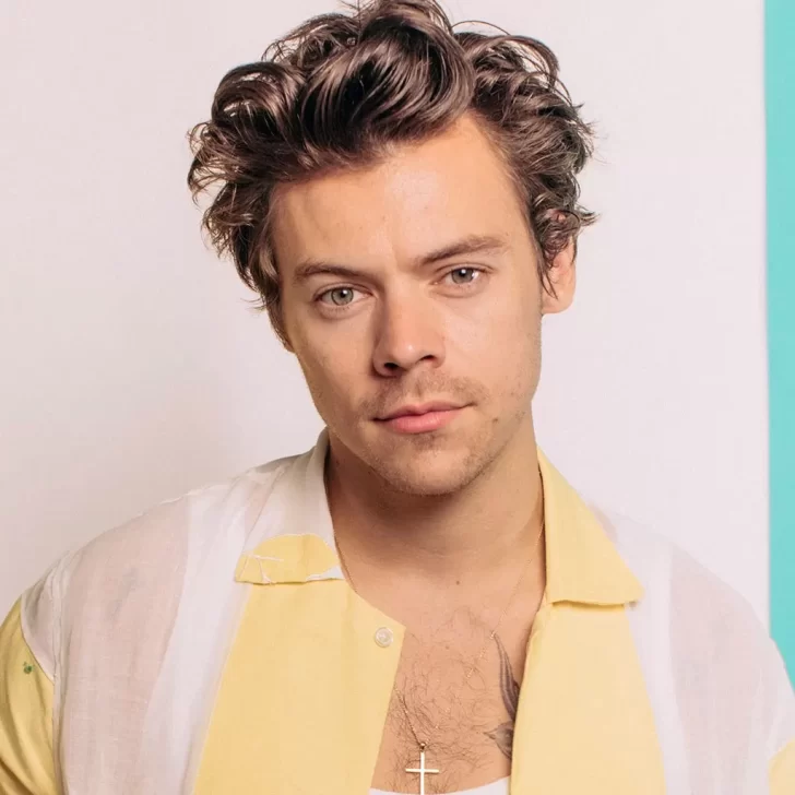 Harry Styles vuelve a Argentina: dónde será el nuevo show y cómo adquirir las entradas Harry Styles vuelve a Argentina: dónde será el nuevo show y cómo adquirir las entradas