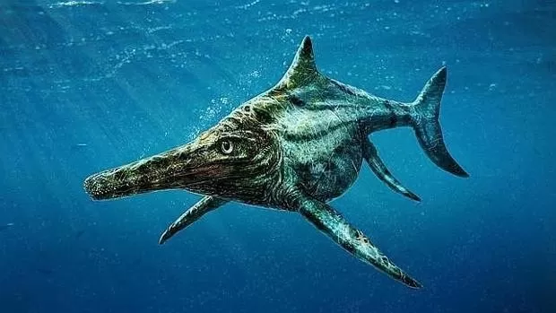 Encontraron el fósil de un “dragón marino” de 10 metros y 180 millones de años de antigüedad