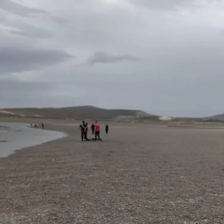 Los goles de la derrota de Argentina ante Paraguay por 2 a 1 en el Sudamericano Sub-20