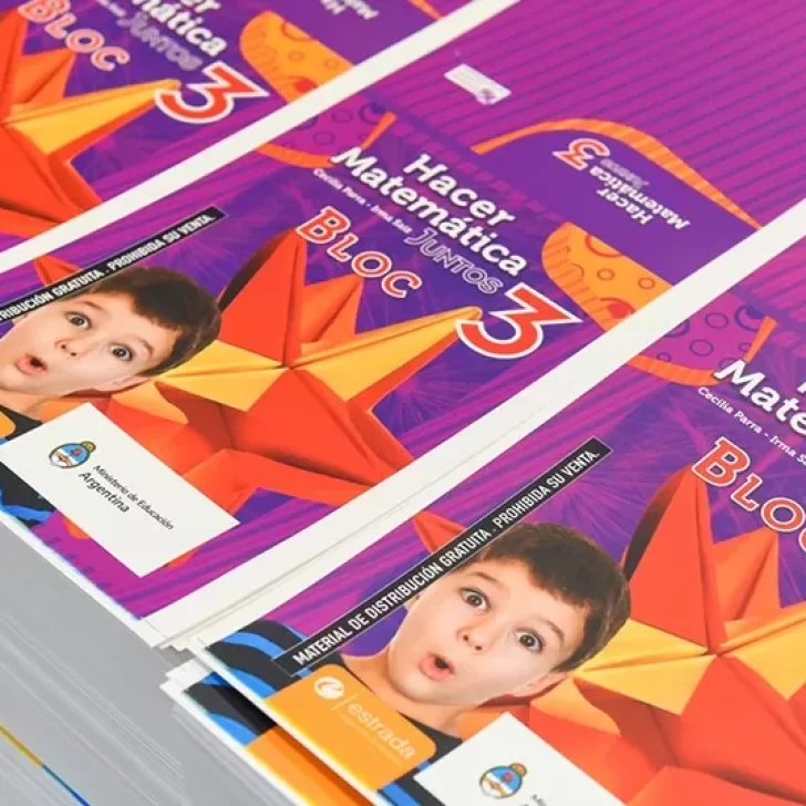 Programa Libros para Aprender: cómo es la iniciativa que llegará a las escuelas de todo el país