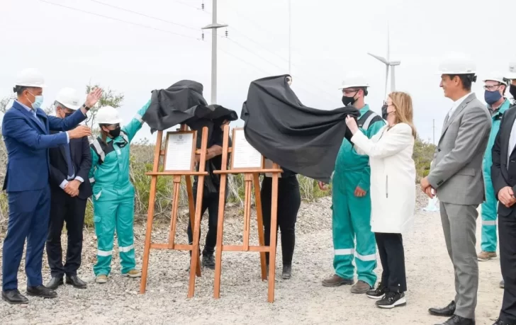 La alianza Santa Cruz-YPF inauguró el parque eólico de Cañadón León