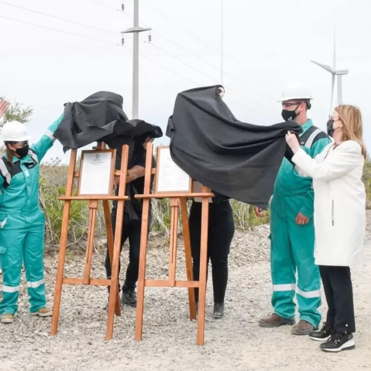 La alianza Santa Cruz-YPF inauguró el parque eólico de Cañadón León