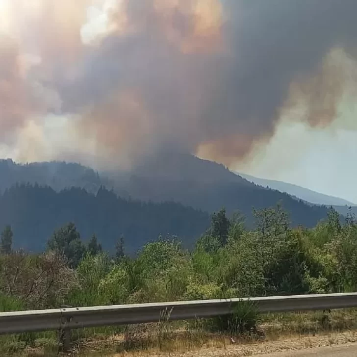 Por un incendio forestal, cortaron la ruta 40 entre El Foyel y el acceso al Cerro Tronador Por un incendio forestal, cortaron la ruta 40 entre El Foyel y el acceso al Cerro Tronador