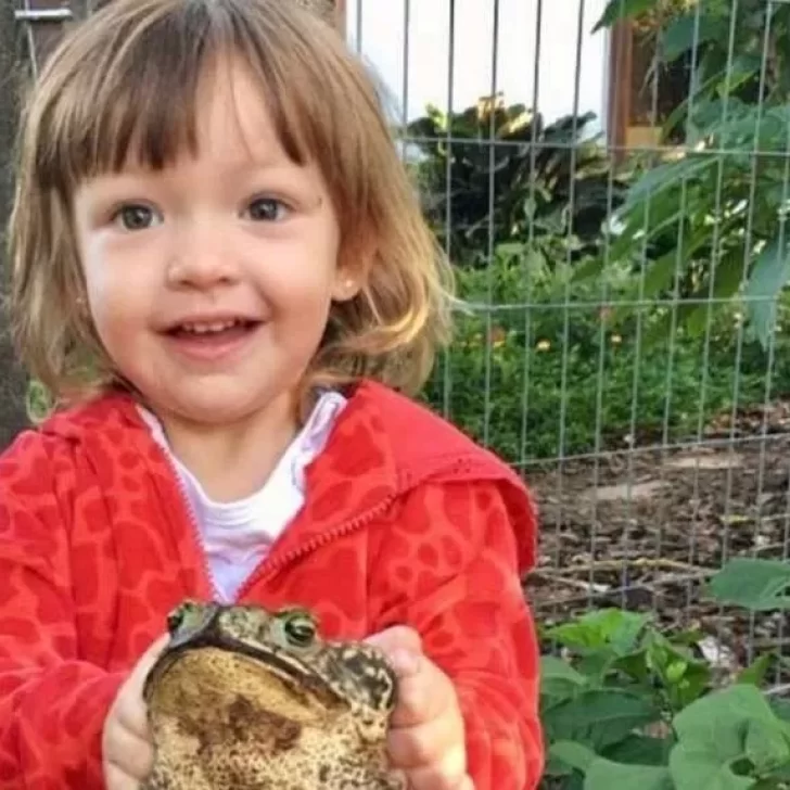 Video. Jazmín, la niña que se hizo viral por su profundo amor por los sapos Video. Jazmín, la niña que se hizo viral por su profundo amor por los sapos