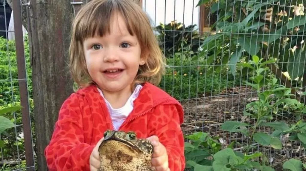 Video. Jazmín, la niña que se hizo viral por su profundo amor por los sapos Video. Jazmín, la niña que se hizo viral por su profundo amor por los sapos
