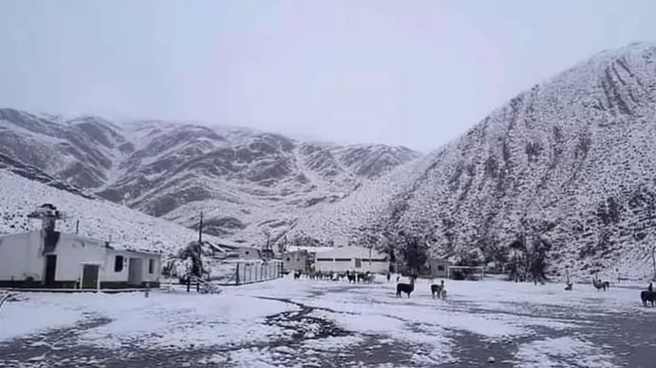 Insólito: en pleno verano, volvió a nevar en Jujuy