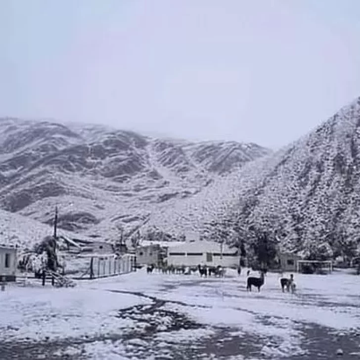 Insólito: en pleno verano, volvió a nevar en Jujuy
