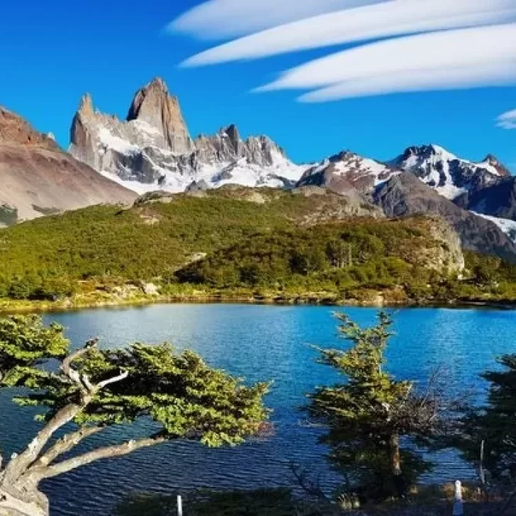 Turismo: el movimiento fue “bueno” en Santa Cruz, según informe de CAME Turismo: el movimiento fue “bueno” en Santa Cruz, según informe de CAME