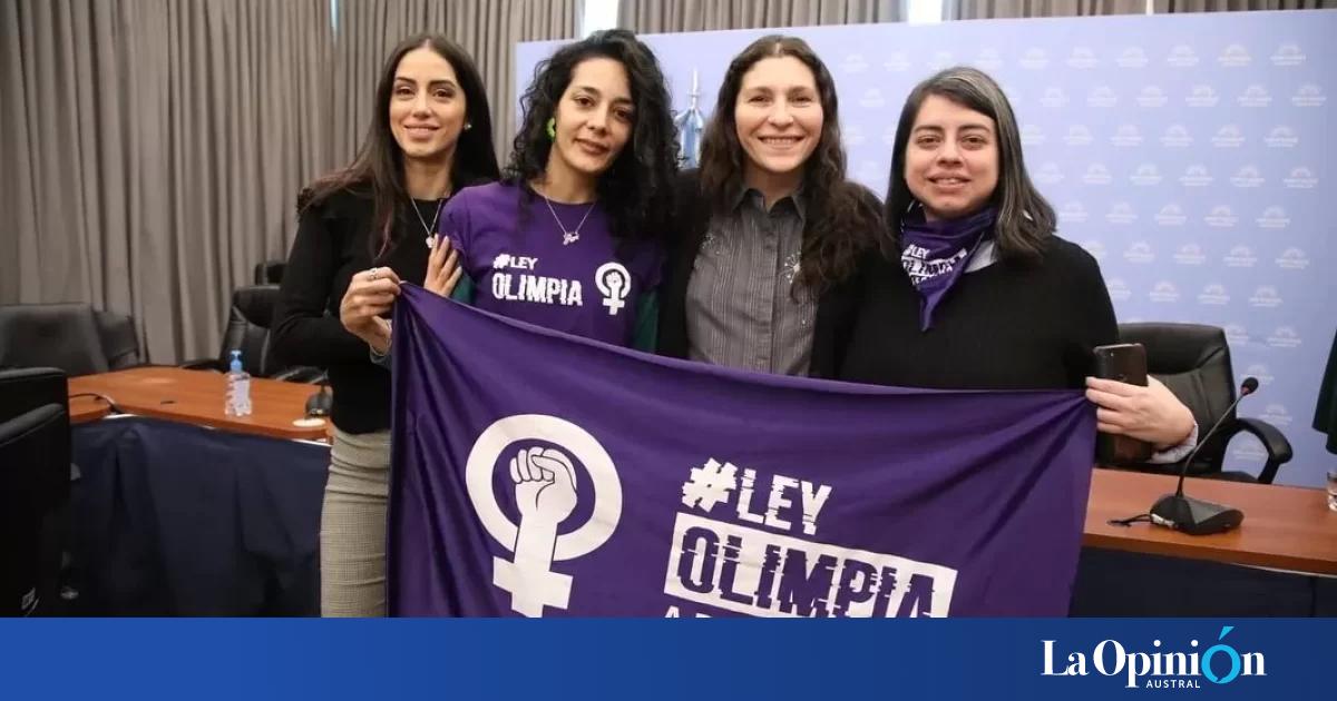 Violencia Digital Ley Olimpia Obtuvo Dictamen Y Avanza En Diputados De Nación La Opinón Austral 1070