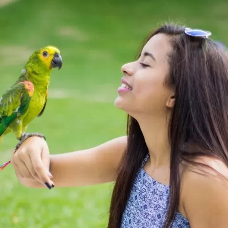¿Cómo enseñarle a hablar a un loro?