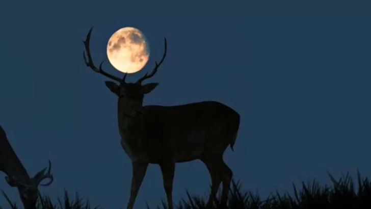 Miércoles 13 de Julio, Luna Llena en Capricornio