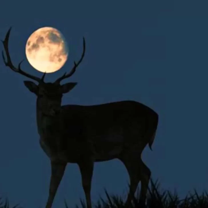 Miércoles 13 de Julio, Luna Llena en Capricornio