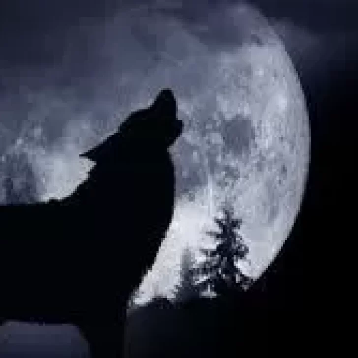 Luna del Lobo, Luna llena en cáncer del 18 de enero