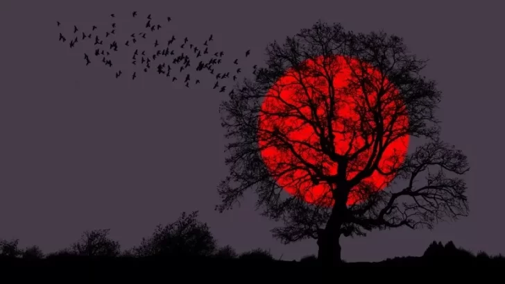 Luna Roja o de Sangre: rituales para atraer la abundancia y abrir caminos