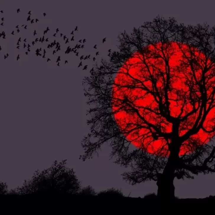 Luna Roja o de Sangre: rituales para atraer la abundancia y abrir caminos