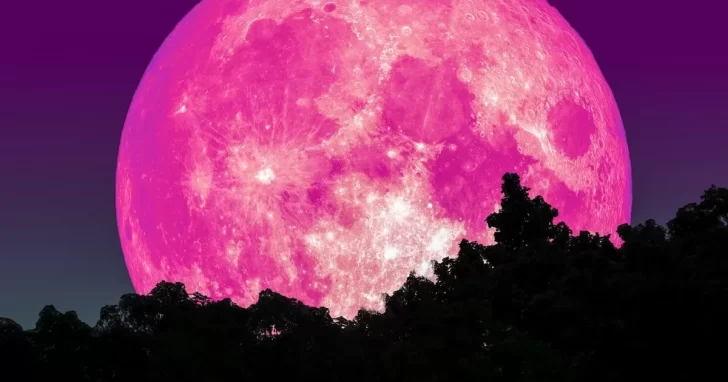 Comenzó el avistamiento a la Luna Rosa 2022: como ver y no perderse este increíble fenómeno