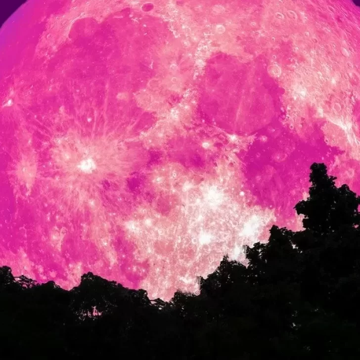 Comenzó el avistamiento a la Luna Rosa 2022: como ver y no perderse este increíble fenómeno