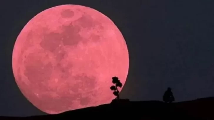 Cuándo se podrá ver la Luna Rosa de abril