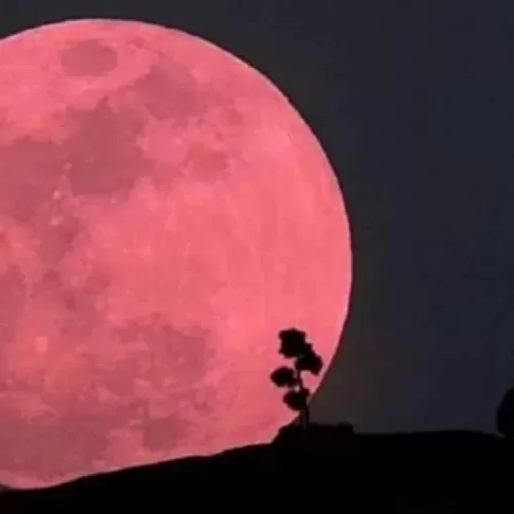 Cuándo se podrá ver la Luna Rosa de abril