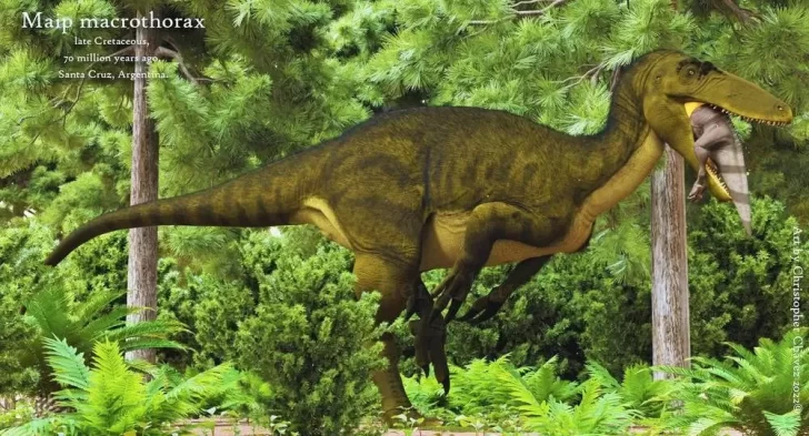 Así es el “Maip macrothorax”, el dinosaurio de 10 metros de largo y 5 toneladas que habitó Santa Cruz