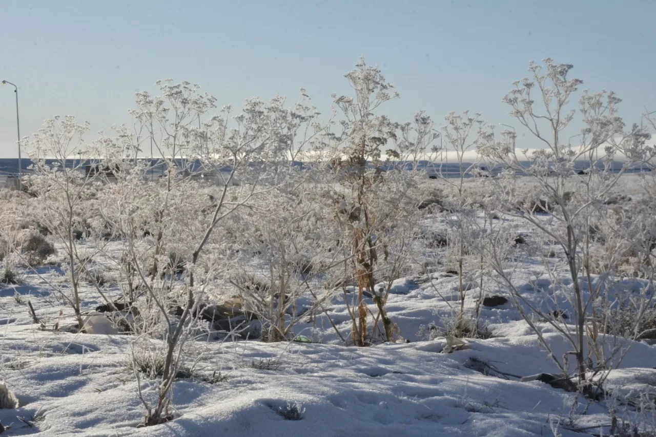 Clima en R o Gallegos pron stico del tiempo para hoy 21 de julio