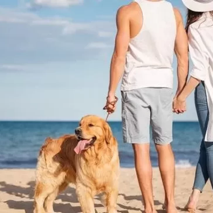 Durante junio se puede formar un feriado XXL de 5 días: ¿Cuándo será y por qué? Durante junio se puede formar un feriado XXL de 5 días: ¿Cuándo será y por qué?