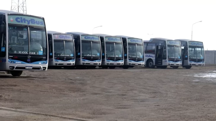 CityBus solicitará el dictado de conciliación obligatoria con UTA para garantizar el transporte público