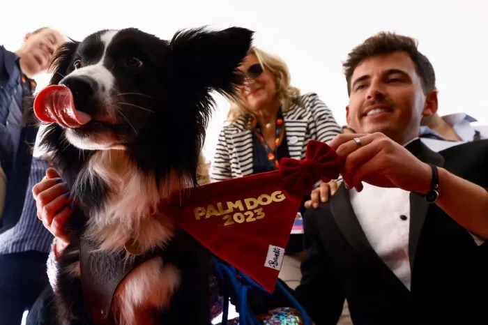 Messi, el perro que se llevó el premio a mejor interpretación en el Festival de Cannes
