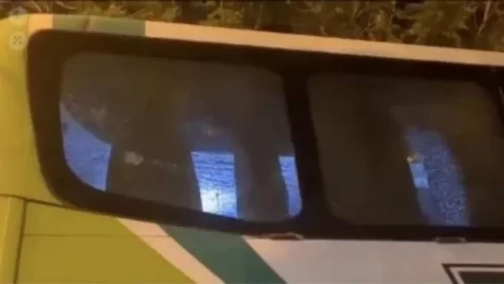 Increíble: hinchas de Tigre se “equivocaron” y apedrearon el micro de sus propios jugadores