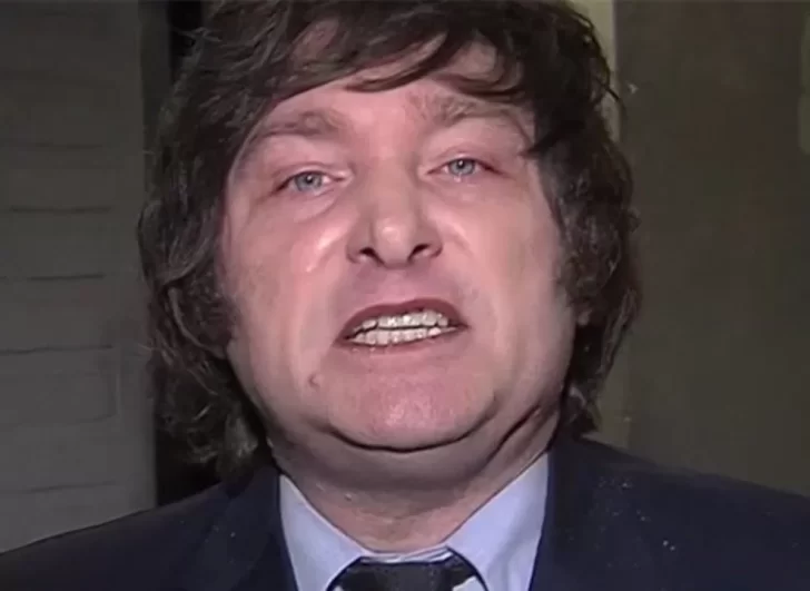 La grieta Milei