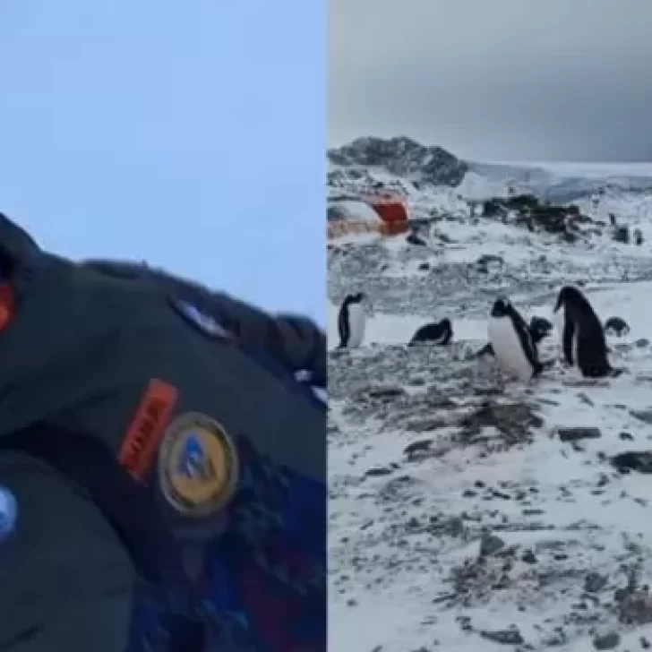 Es argentino, mostró cómo es ir a la escuela en la Antártida y se volvió viral: “-32° y mucho viento”