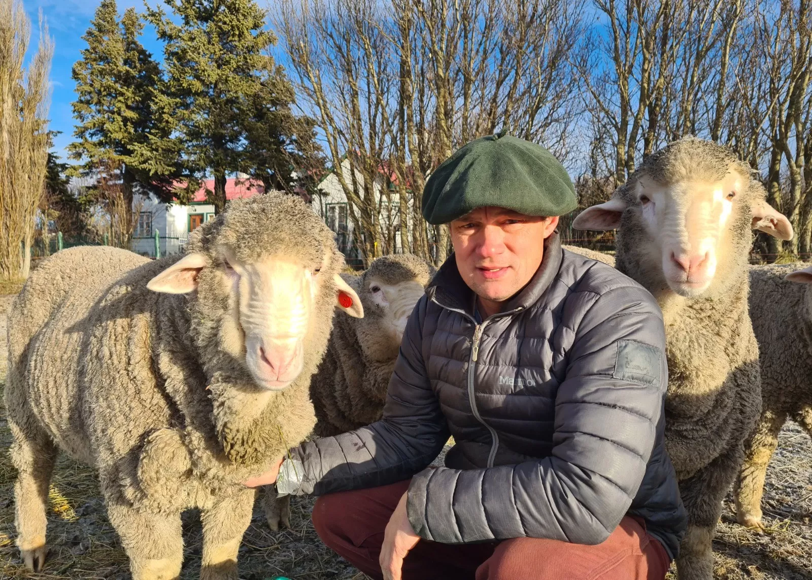 Luces y sombras de la actualidad ovina en la mirada de un productor local Luces y sombras de la actualidad ovina en la mirada de un productor local