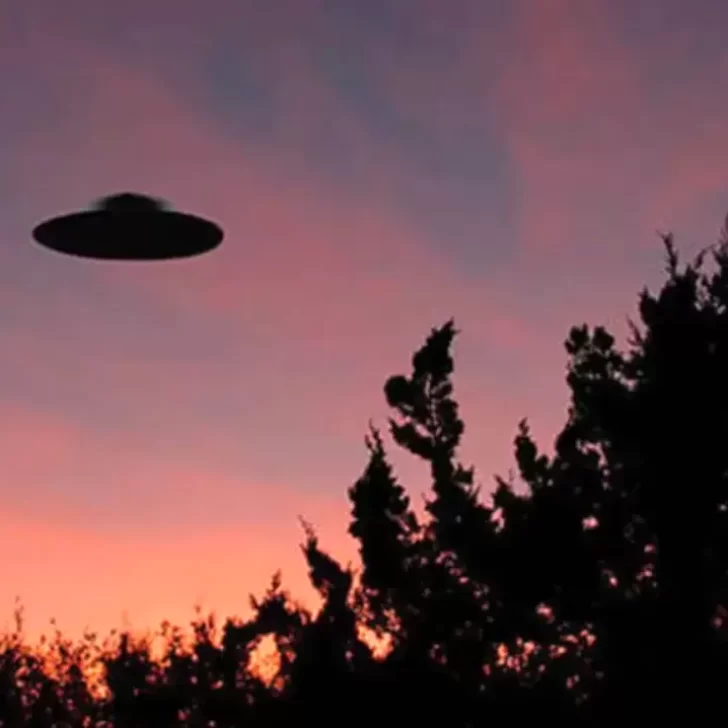 ¿Aliens?: Estados Unidos confirmó el hallazgo de un OVNI con restos “biológicos no humanos”