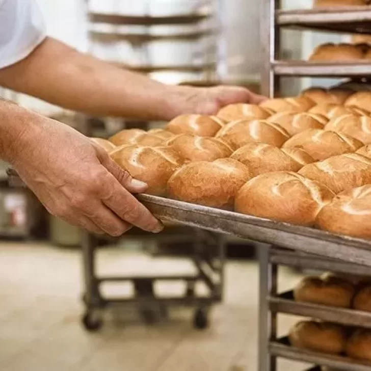 Despidieron a más de 100 panaderos por “baja de la producción” en Santa Cruz Despidieron a más de 100 panaderos por “baja de la producción” en Santa Cruz