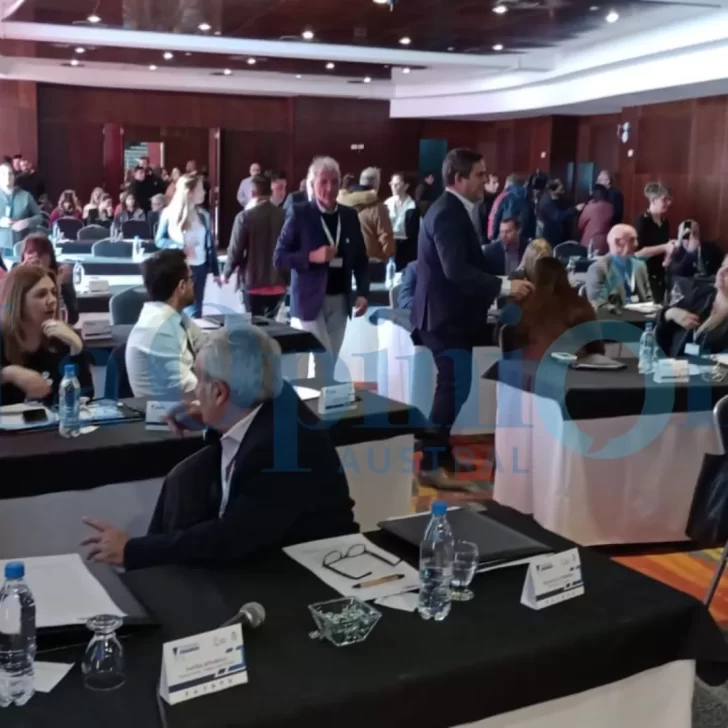 En vivo. Sesiona el Parlamento Patagónico con ejes en energía, tarifa diferencial y subsidios