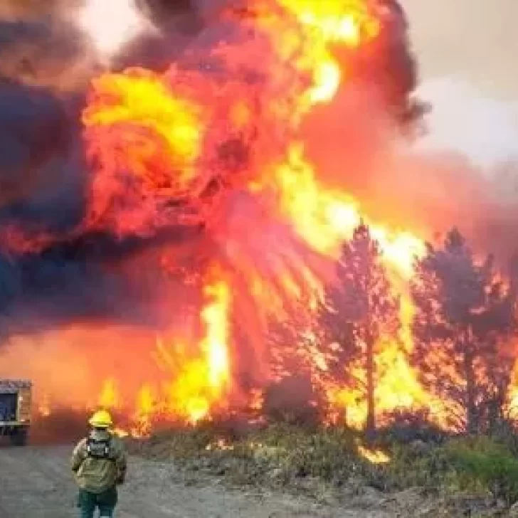Incendio en el Parque Nacional Los Alerces: ya afectó 1.400 hectáreas de bosques y quemó 10 casas Incendio en el Parque Nacional Los Alerces: ya afectó 1.400 hectáreas de bosques y quemó 10 casas
