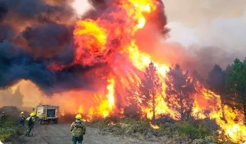 Incendio en el Parque Nacional Los Alerces: ya afectó 1.400 hectáreas de bosques y quemó 10 casas