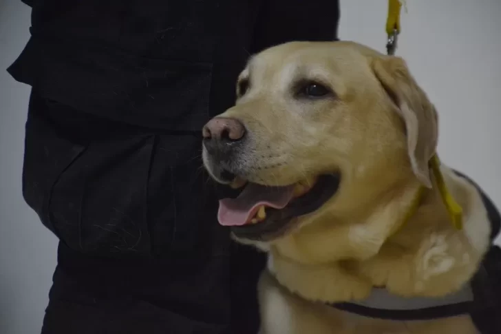 El perro Pepe de la Policía Federal fue agasajado por el Grupo La Opinión Austral