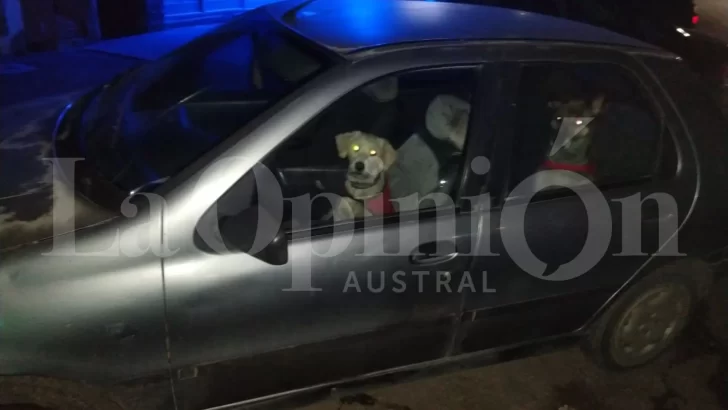Rescataron a dos perritos que estaban encerrados en un auto: su dueña estaba en el casino y volvió a buscarlos 15 horas después