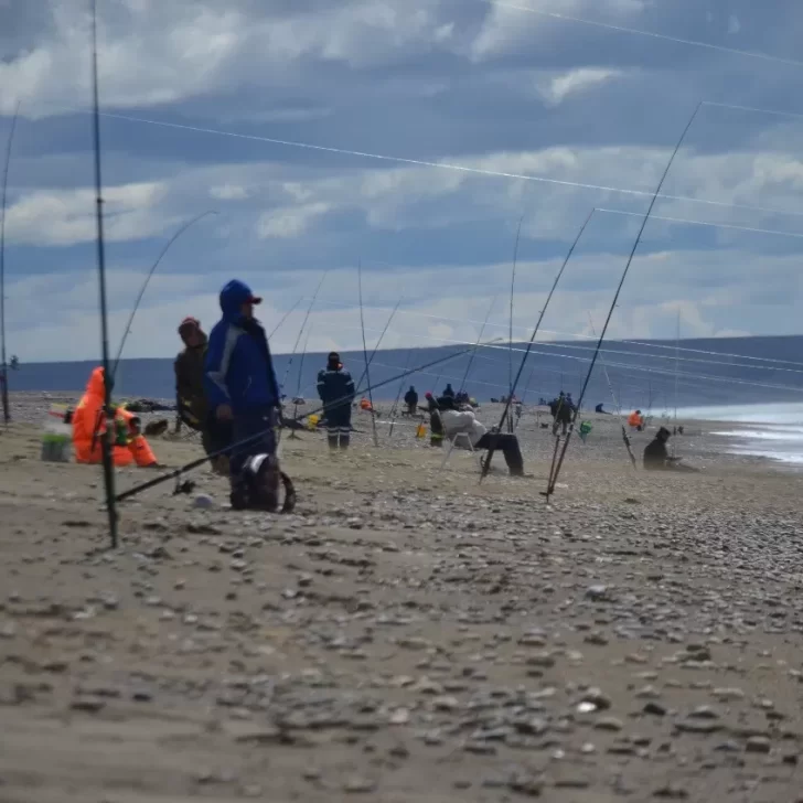 Marea roja y ballenas muertas: ¿Se pueden pescar róbalos y otros peces para comer? Marea roja y ballenas muertas: ¿Se pueden pescar róbalos y otros peces para comer?