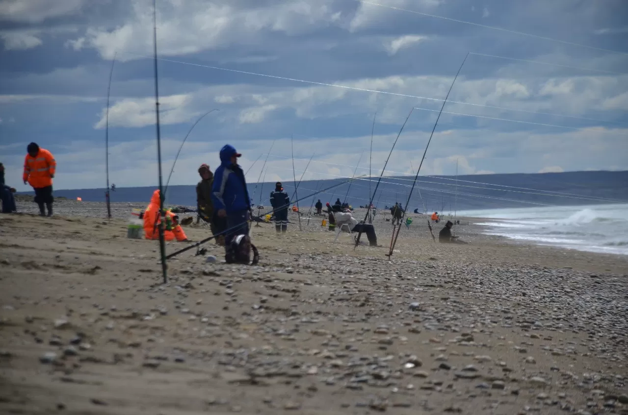 Marea roja y ballenas muertas: ¿Se pueden pescar róbalos y otros peces para comer? Marea roja y ballenas muertas: ¿Se pueden pescar róbalos y otros peces para comer?