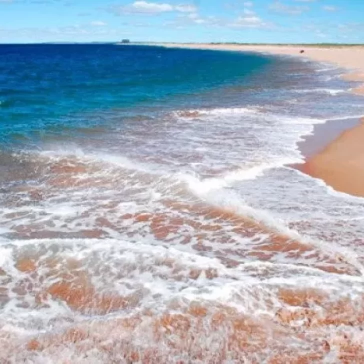 Verano 2022: desde la paradisíaca Punta Perdices hasta la aclamada Puerto Madryn, cinco playas imperdibles