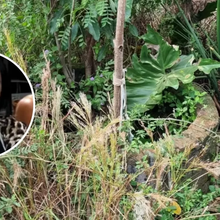 Hallaron en un pozo los restos Claudia Benítez, la taxista desaparecida en Posadas a la que le incendiaron el auto: el marido esta detenido