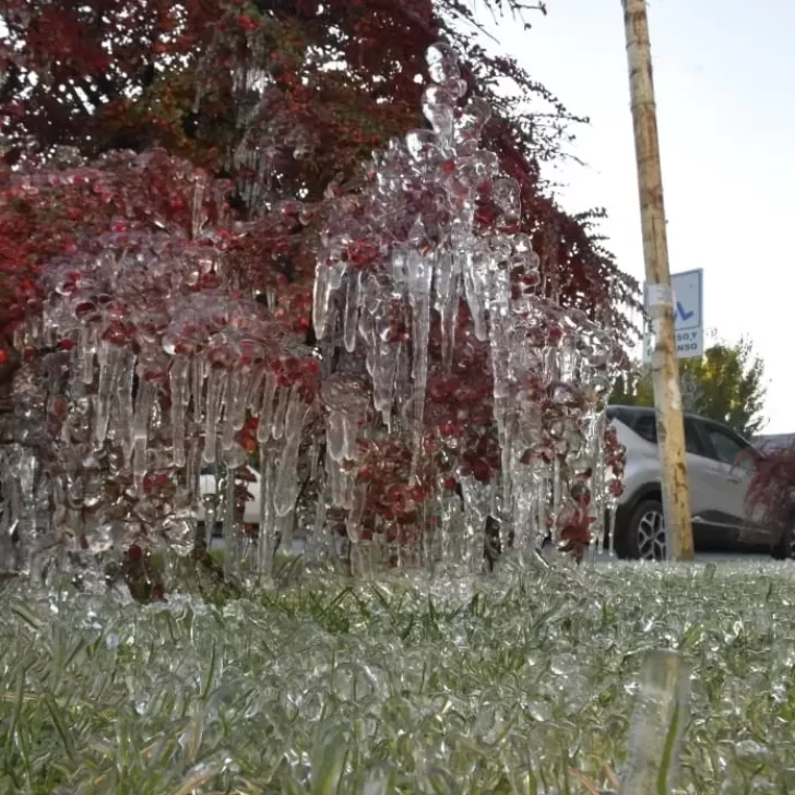 Clima en Río Gallegos: pronóstico del tiempo para hoy, 15 de julio