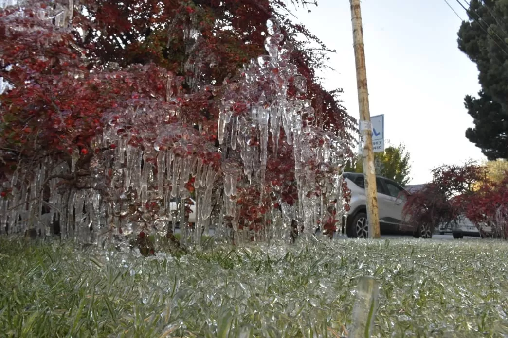 Clima en Río Gallegos: pronóstico del tiempo para hoy, 15 de julio